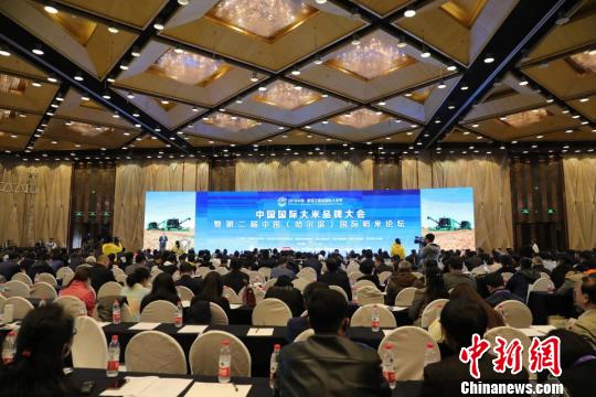 涓栫晫绋荤背澶ц禌,涓栫晫姘寸ɑ鑲茬涓撳鎺掑悕