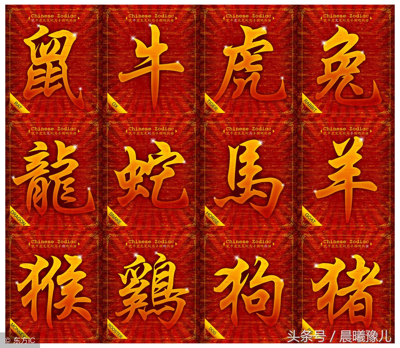 12生肖的人的缺点,12生肖性格优缺点