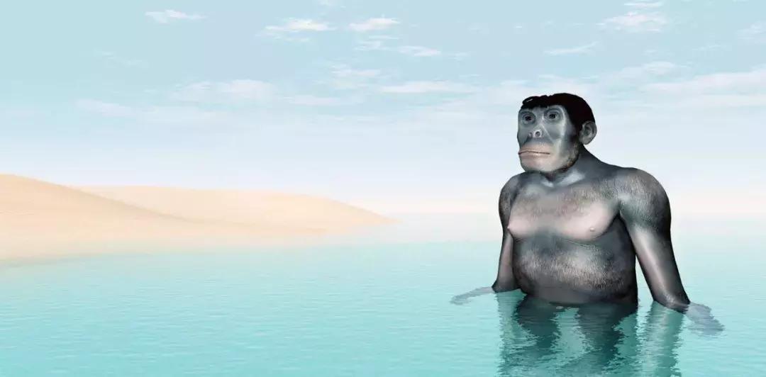 人类在演化中为什么会褪去体毛,人类的体毛怎么进化没了