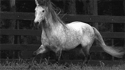 从猿进化到人的原因,从猿进化成人类的原因是什么