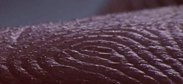 人类在演化中为什么会褪去体毛,人类的体毛怎么进化没了