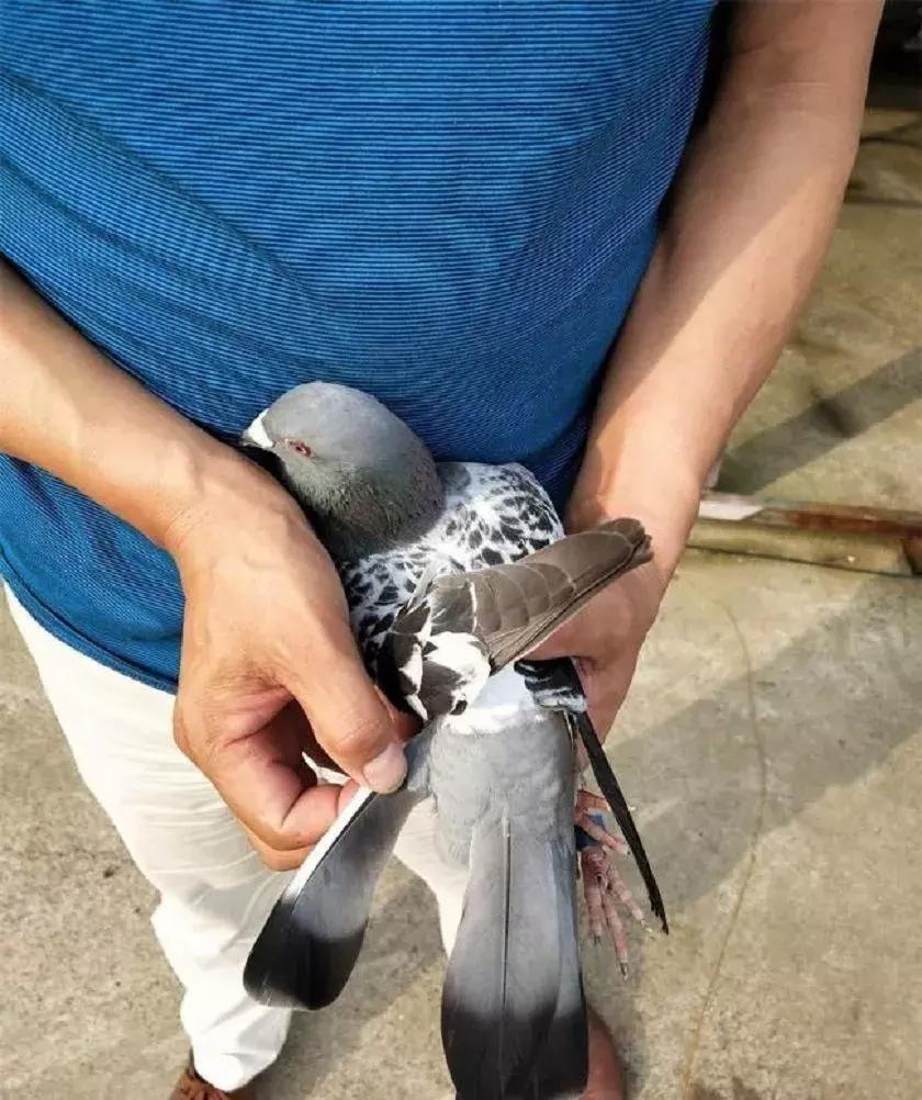 不死必归，一组带伤归来的英雄们！「图」