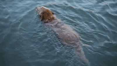 他在桂林复刻出《色戒》同款院子，还引来了《芳华》作者严歌苓