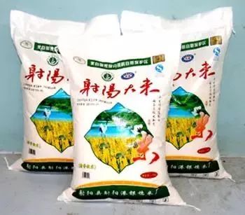 杨超越全村的希望完整版对话,杨超越全村的希望