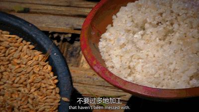 bbc全球最不健康的饮食,bbc纪录片关于健康饮食