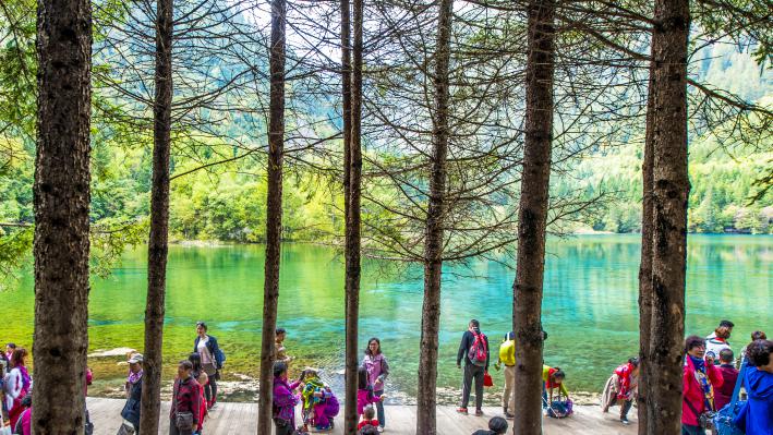 九寨和黄龙旅行,九寨黄龙峨眉乐山