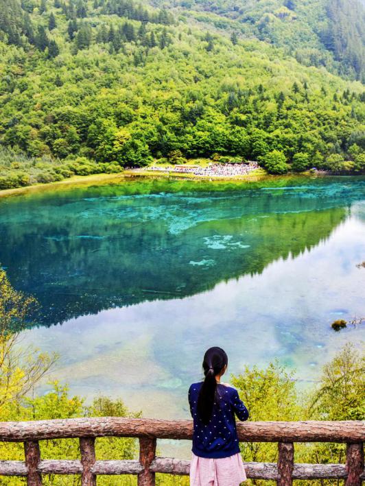 九寨和黄龙旅行,九寨黄龙峨眉乐山