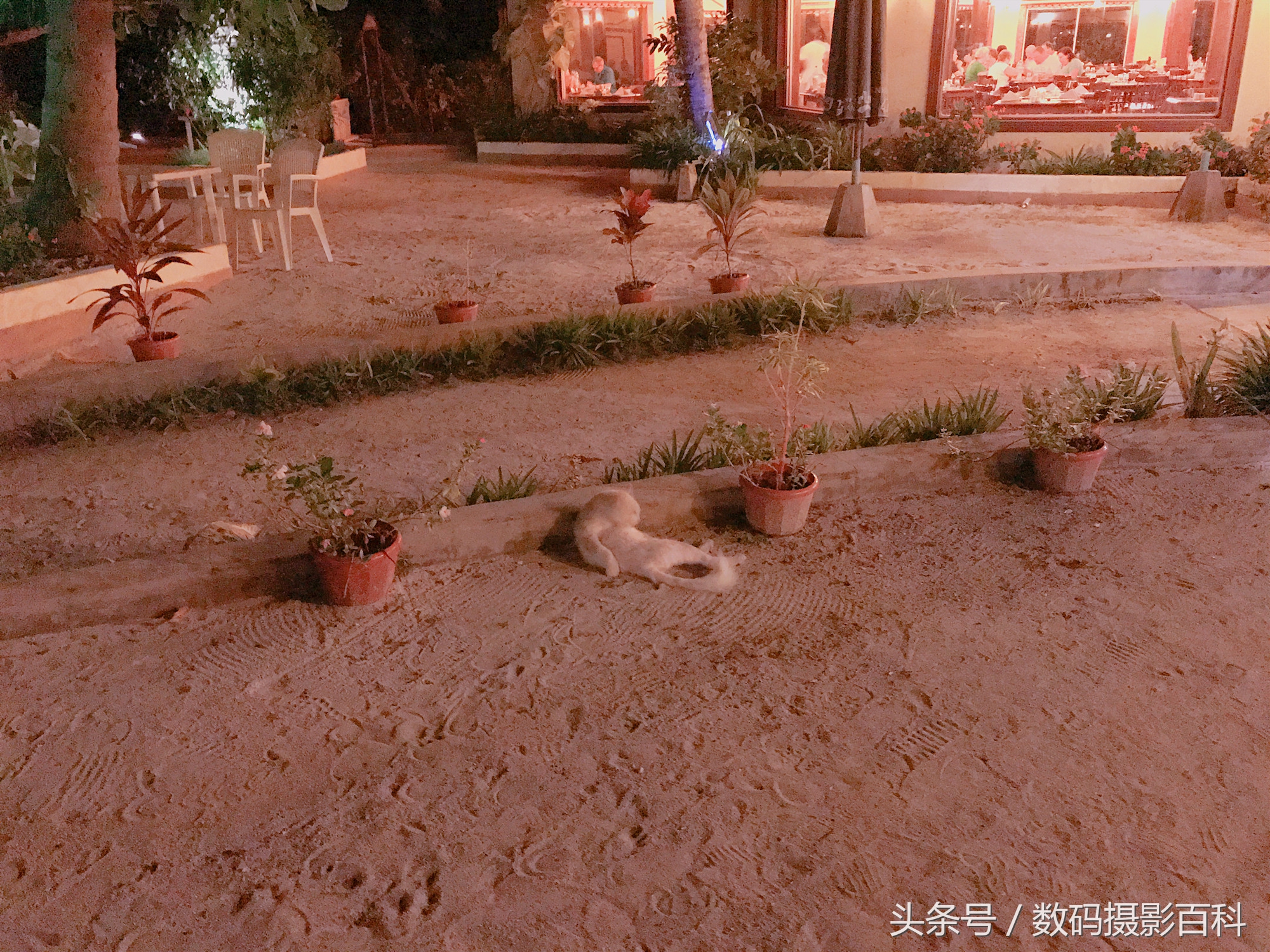 马尔代夫贫民海岛——入乡随俗，与印度夫妇有个约定