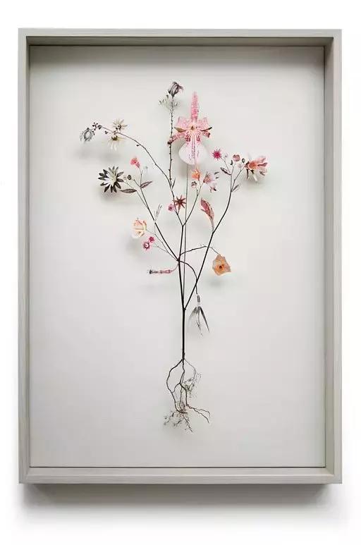 干花工艺画教程,干花做标本画