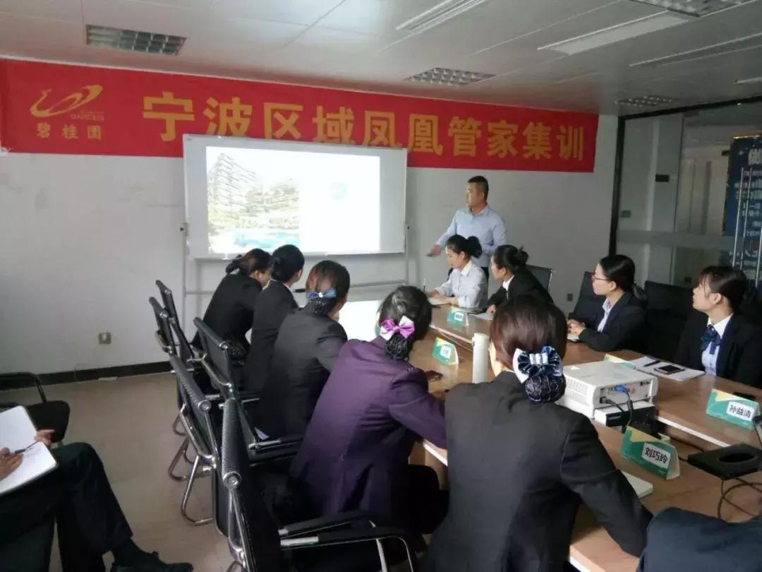 生活中的100个细节碧桂园,致生活的100个细节碧桂园