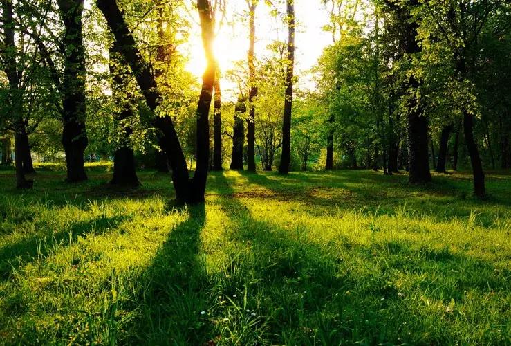 海南最值得去的几个地方,海南博鳌美不美