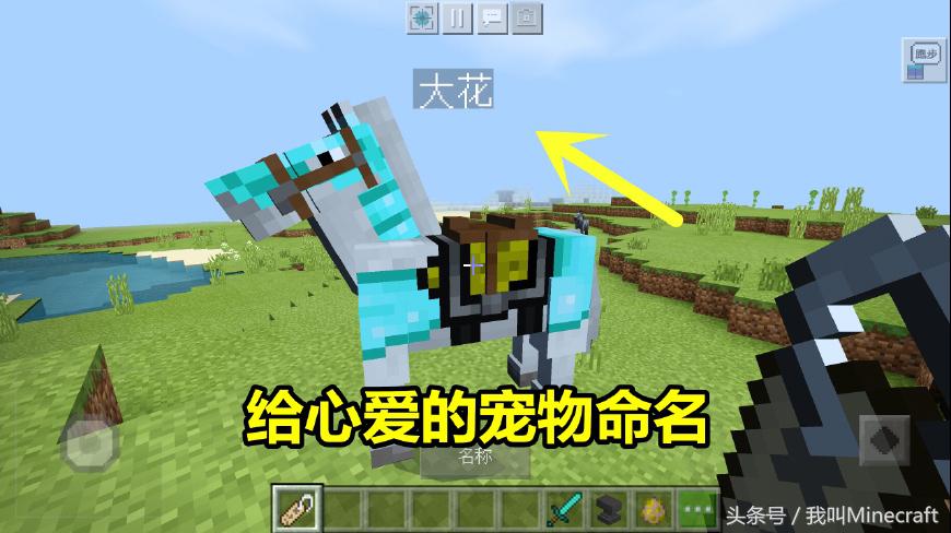 minecraft命名牌彩蛋,我的世界网易版命名牌彩蛋猪神
