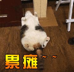 如何才能做一款“更懂你”的PMS?金天鹅员工国庆酒店值班记