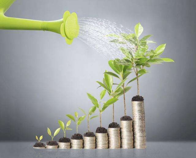 新父母大学书籍,新父母教育书籍