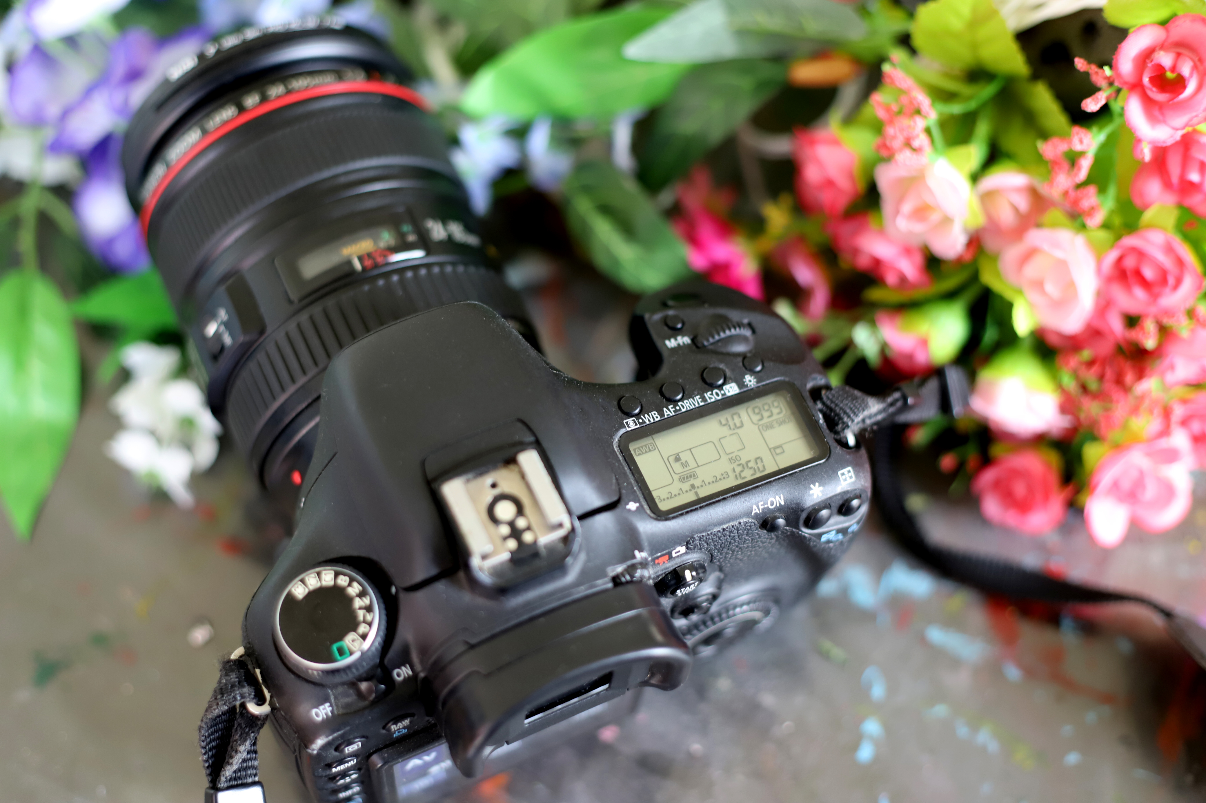 佳能一台拥有双核处理器的单反成为当时中高端数码单反的新标杆