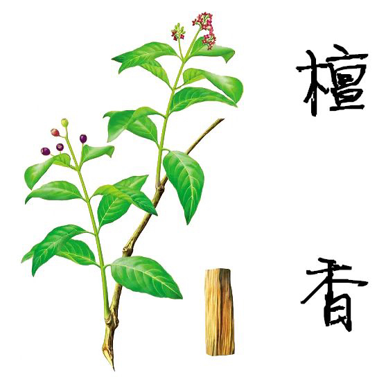 中药檀香可以熏屋子吗,中药材檀香的作用