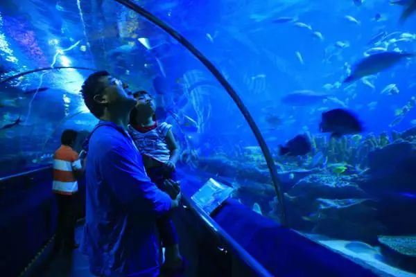 李茶的姑妈海景大别墅,李茶的姑妈在马来西亚