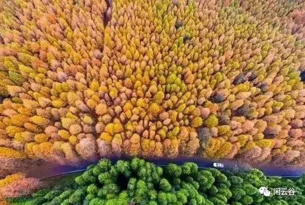 关于秋天的30首经典诗词,60首最经典描写秋天的诗词