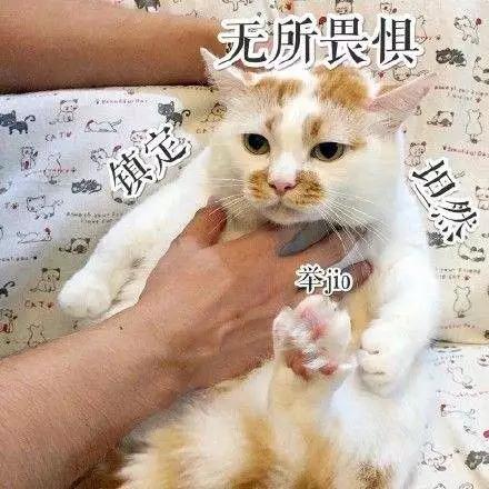 名创优品100元彩妆是正品吗,名创优品可以买的彩妆