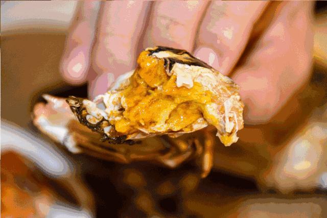 从320公里搬来“蟹中白富美”！北外滩酒店首创白兰地醉蟹畅吃！