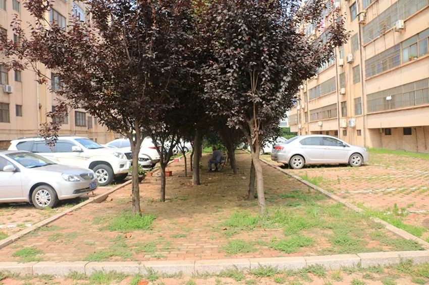 美了美了钢琴曲二胡,美了美了越南红歌