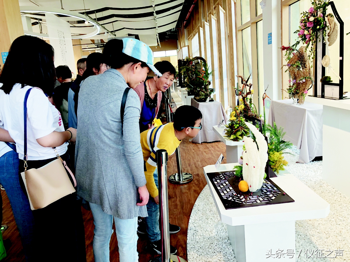 四方宾客聚会,四方宾客完整版