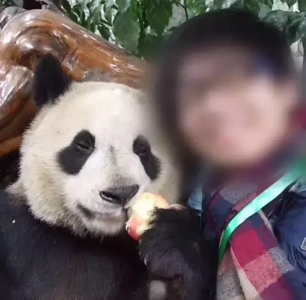 18岁中国留学生跃轨自杀，当场死亡！“我并没有想象的快乐”