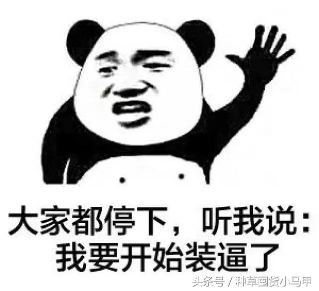 真代购和假代购的区别,网上代购是真是假