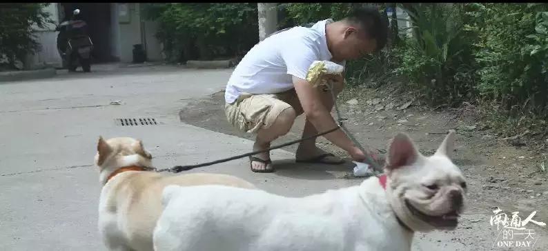 看到这家宠物店老板这么辛苦,我还是乖乖滚回去上班吧!