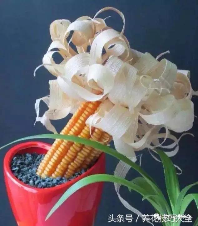 盆栽花生的变化,最好看的盆栽花生