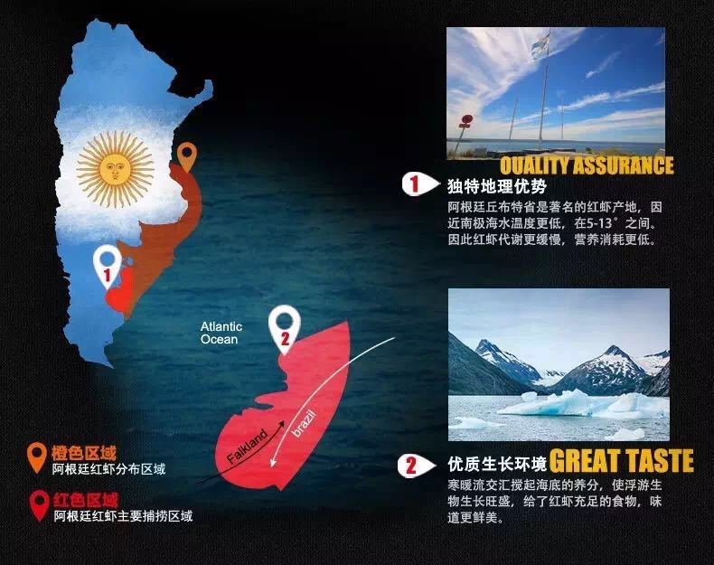 夏日阿根廷红虾推荐,高贵不贵阿根廷红虾