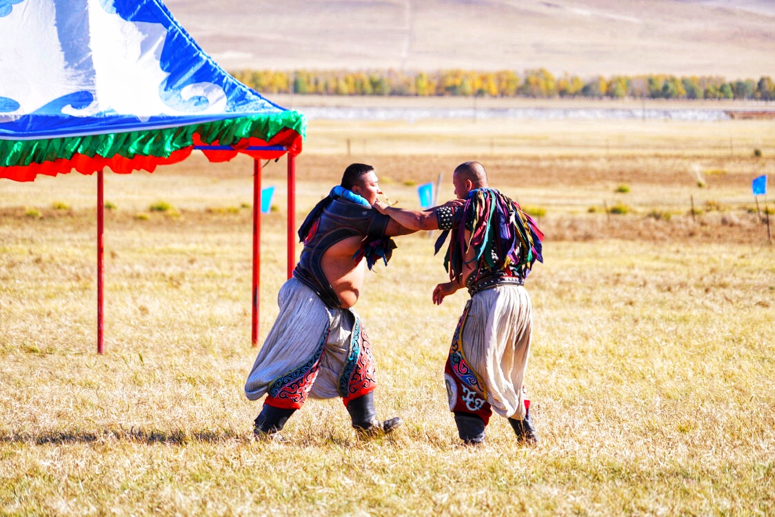 锡林郭勒大草原冬天旅游攻略,锡林郭勒大草原旅游攻略全部