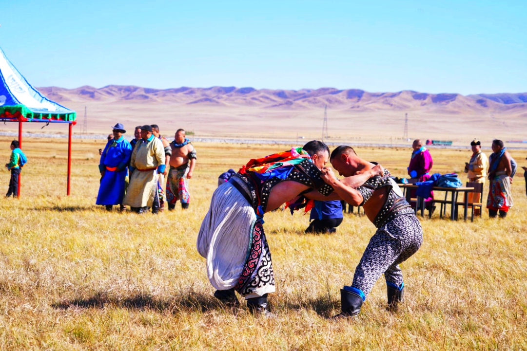 锡林郭勒大草原冬天旅游攻略,锡林郭勒大草原旅游攻略全部