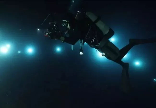 海洋探秘资料,海洋探秘鲨鱼