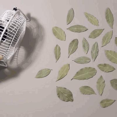 他的画跟原物相似度99.9%!简直令人震撼!你能认出几个?