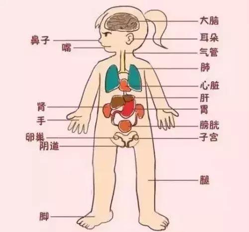 家长性教育要趁早,家长必读儿童心理学