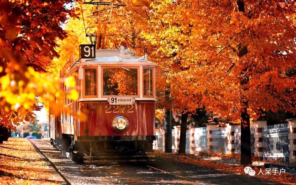 秋天到底是什么颜色的呢,秋天和秋雨是一种什么样的颜色