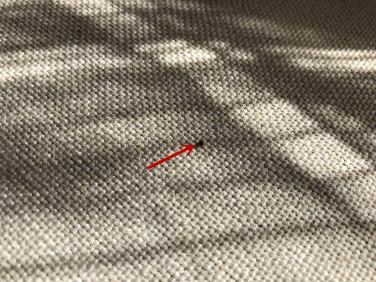 一居民家中自来水现大量虫子,一居民家中飞来怪鸟