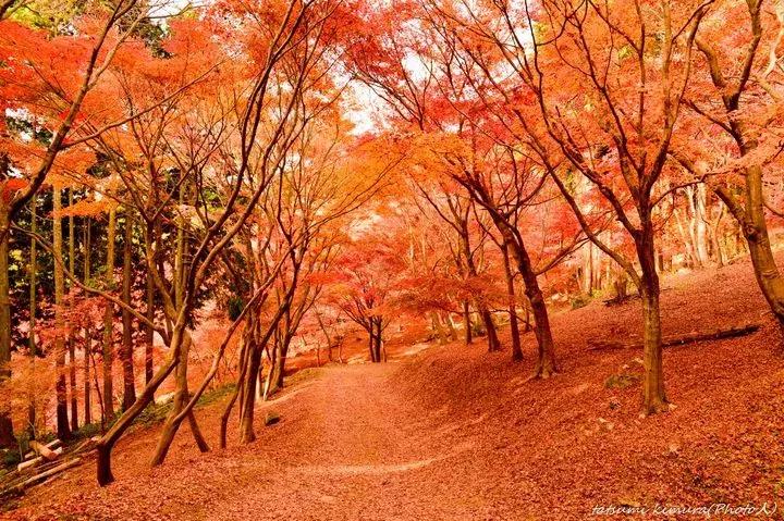 东京和北海道哪里旅游好一点,东京和北海道哪里旅游便宜