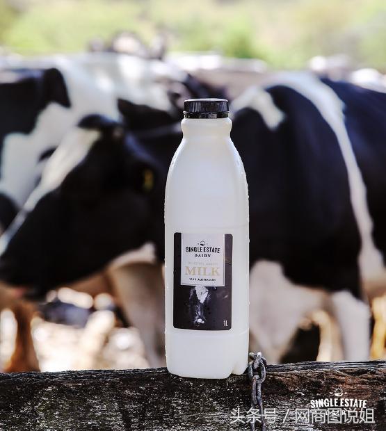 澳洲网红鲜奶店,澳洲鲜牛奶推荐