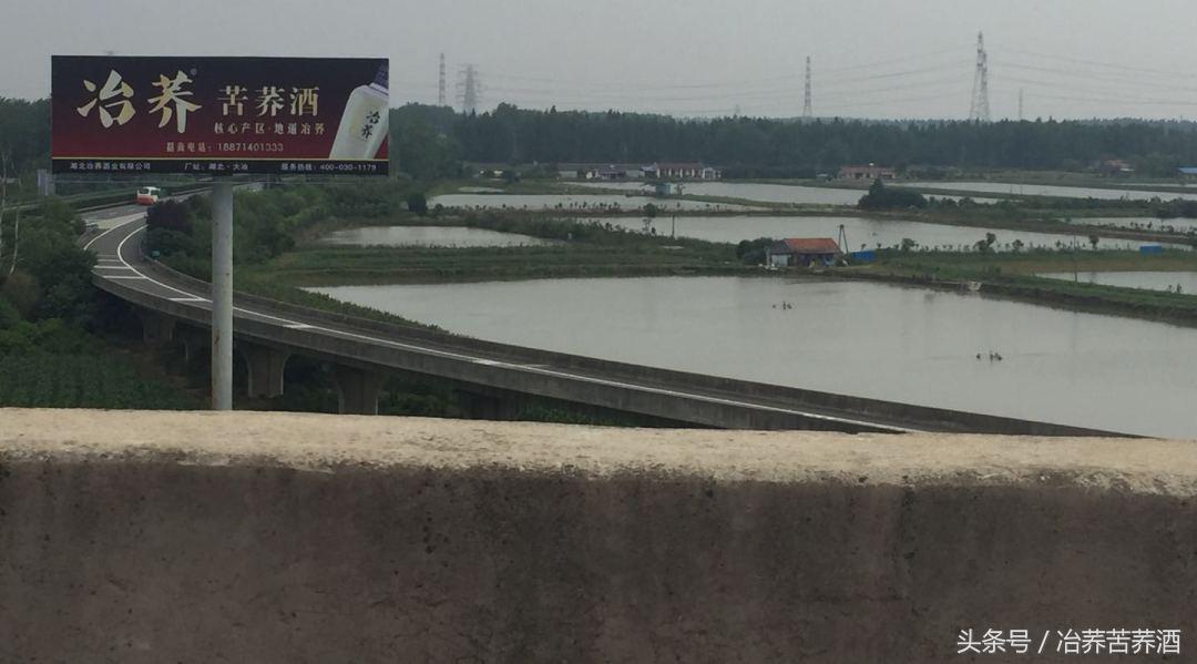 探秘荞酒核心产区,开启健康荞香之门,看“冶荞”如何势不可挡!