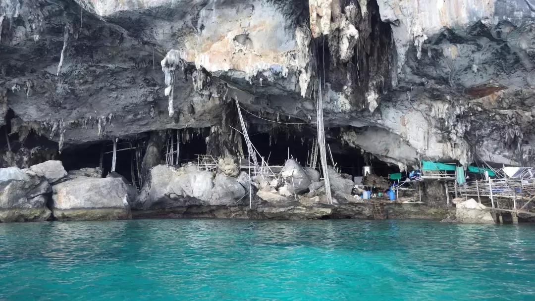 在马来西亚燕窝有多便宜,马来西亚卖燕窝需要什么