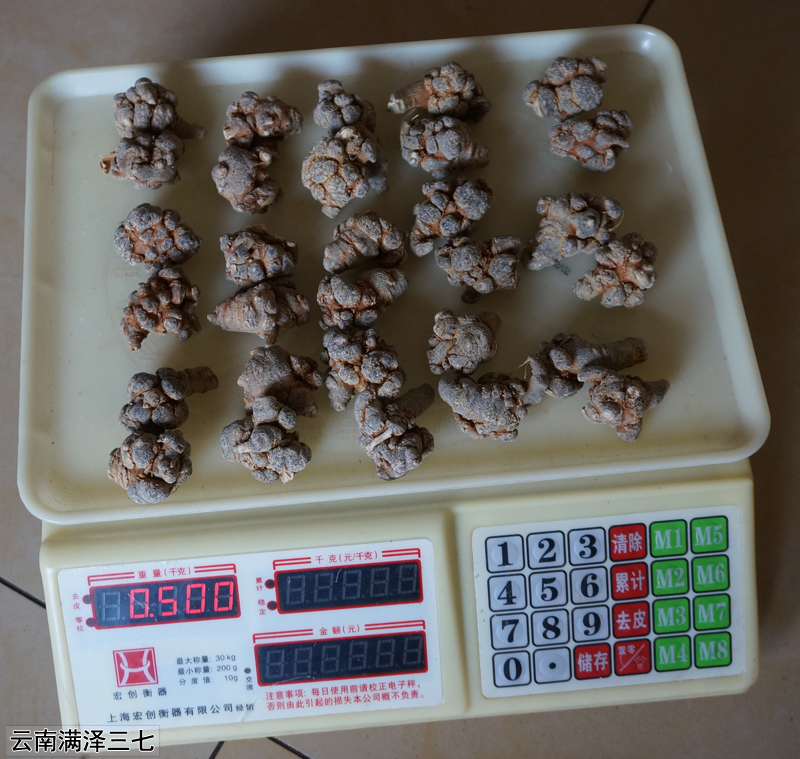 云南文山满泽30头三七田七介绍,看看三七30有是什么意思