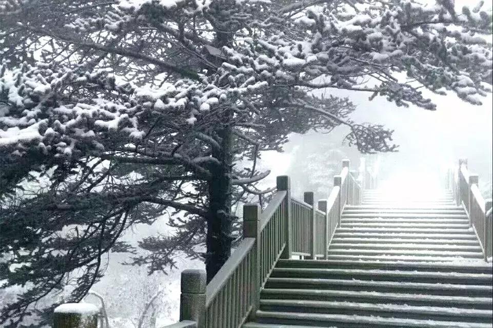 成都周边解压的游乐项目,成都周末解压玩耍推荐