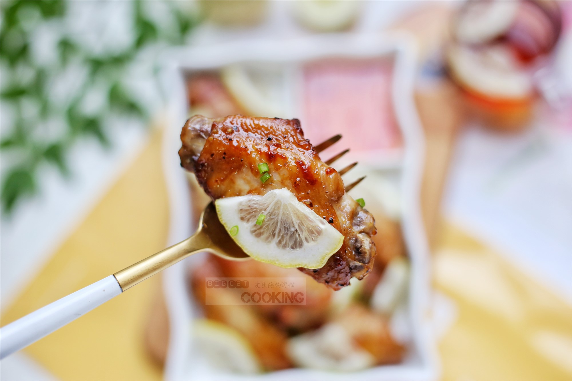 热巴金鹰女神视频,热巴金鹰女神现场视频