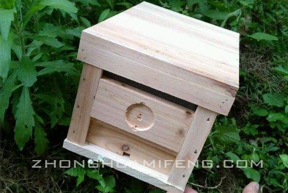 交尾群组织管理,交尾群组建与管理