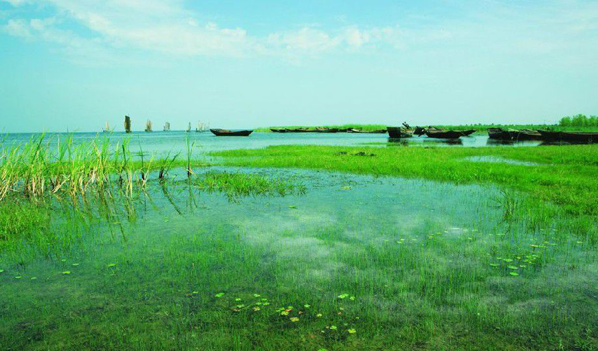 江苏宿迁人口大县,宿迁市下面哪个县面积最大