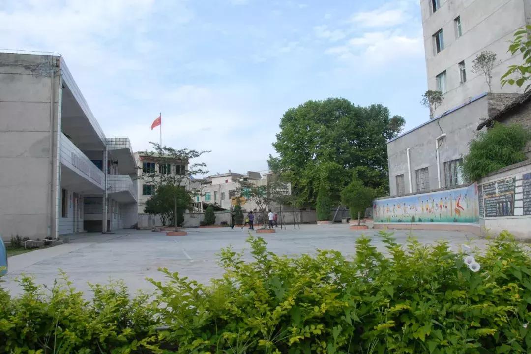 贵州省余庆县小学,余庆县小学大全
