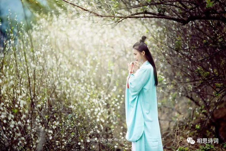 飃霗诗词|懒问曾经记起无,曾经记起又何如