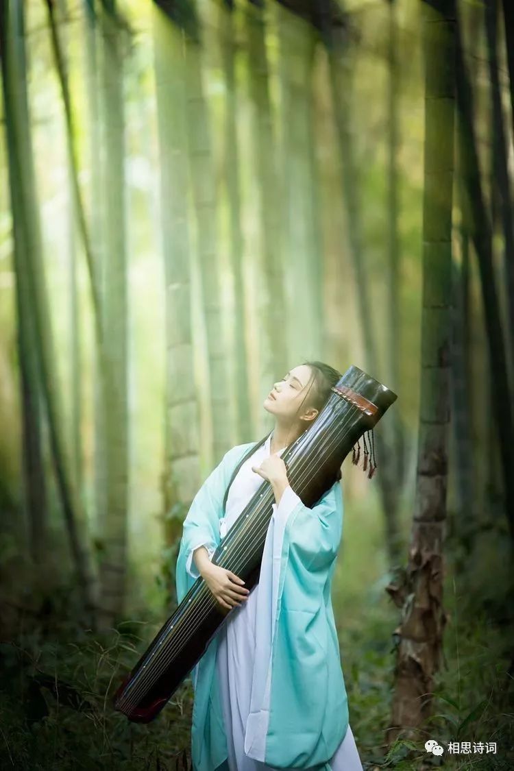 飃霗诗词|懒问曾经记起无,曾经记起又何如